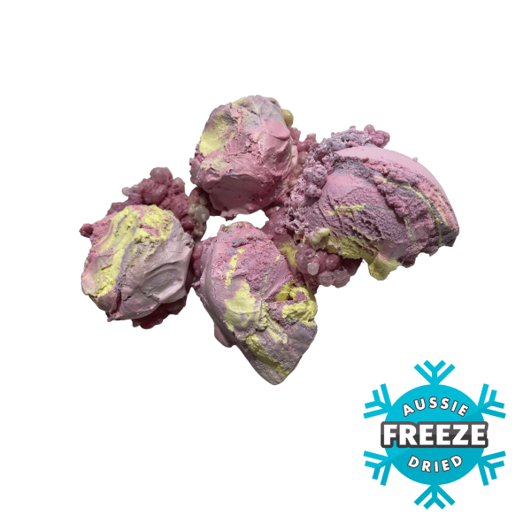 freeze dried rainbow paddlepop ice cream scoops