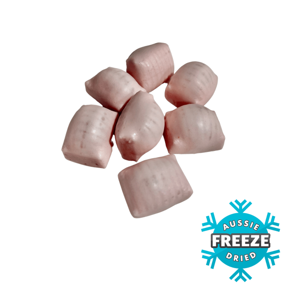 freeze dried strawberry zappos