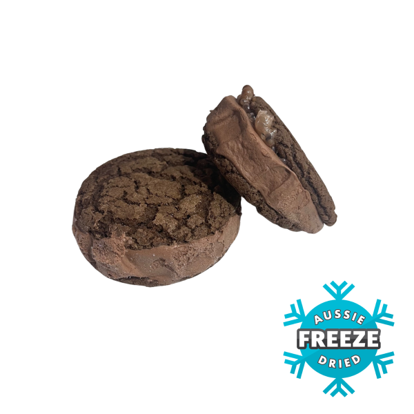 freeze dried bulla choc hazelnut ice cream sandwich