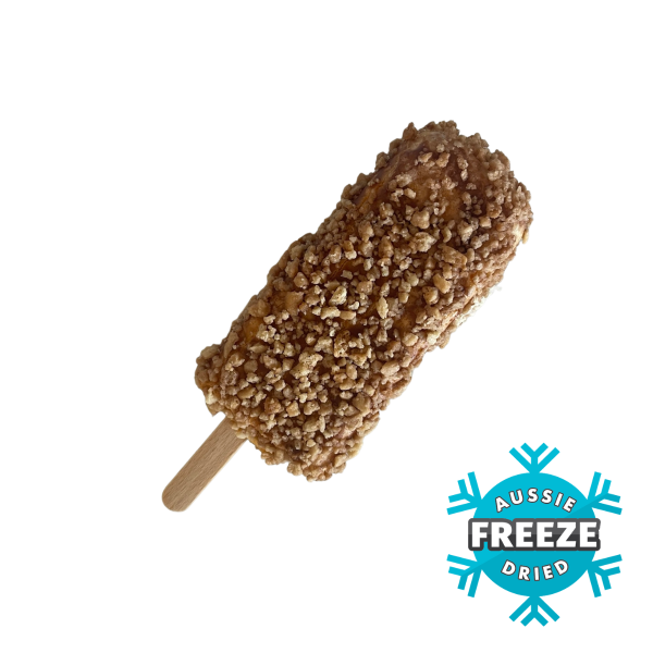 freeze dried coco pops golden gaytime